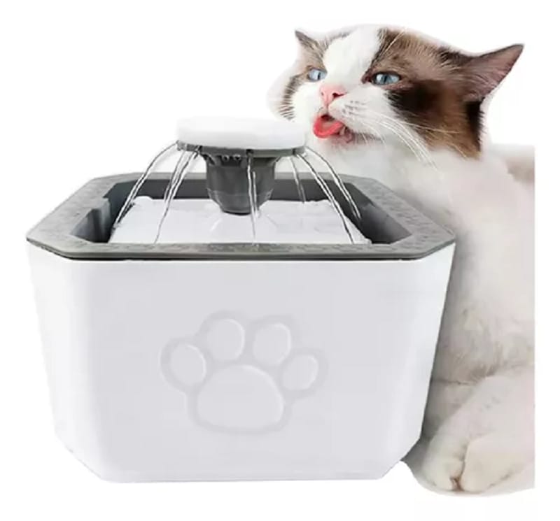 Fuente de Mascota Pet