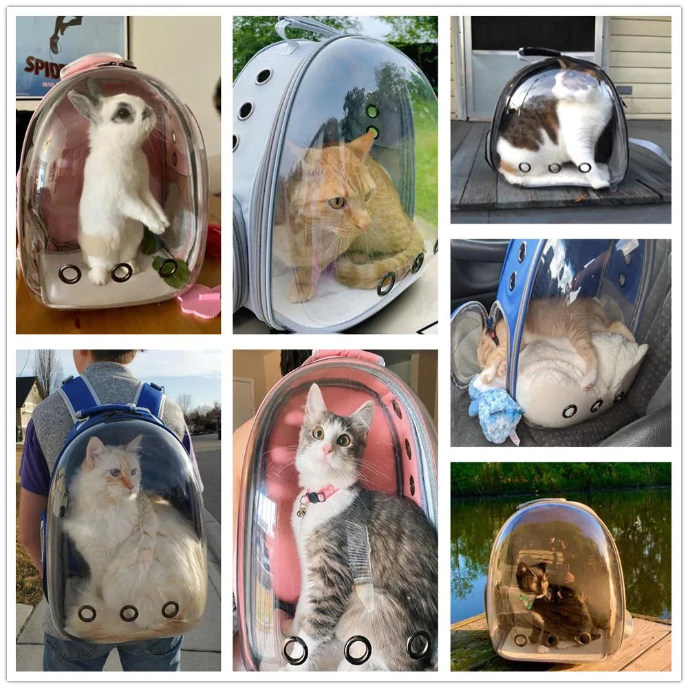Astro Maleta Para Mascotas Perro O Gato